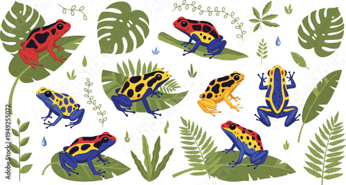 Colorful Poison Dart Frogs Vector Illustration Set with Tropical Rainforest Leaves, Exotic Amphibians and Jungle Wildlife Elements