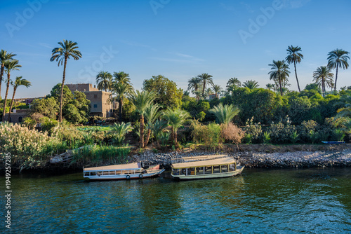 Boats moored along lush Nile riverbank with palm trees