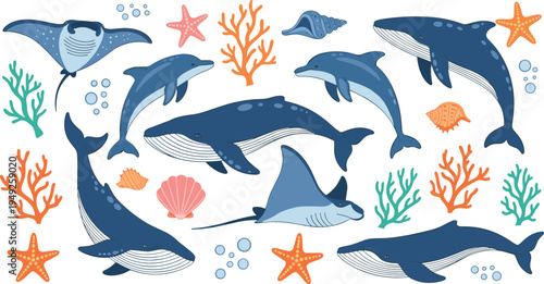 Marine Life Vector Set Featuring Dolphins, Whales, Stingrays, and Coral for Underwater and Oceanic Illustrations
