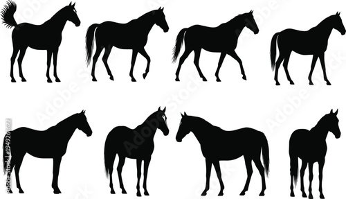 Black horse silhouettes in various poses on white background equine