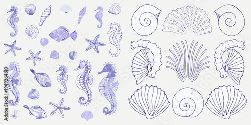 Delicate blue sketches of seashells seahorses starfish and marine life