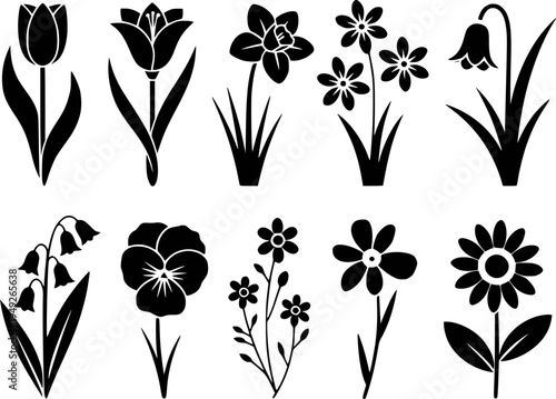 Collection of black silhouette spring and summer flowers including tulips daffodils pansies and daisies