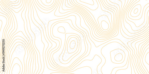 Topographic map background with geographic grid for hiking and mountain sport. luxury topographic wavy pattern and geographic grid map design. paper texture Imitation of a geographical map shades.