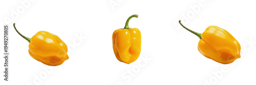 Photos Set of yellow habanero chili peppers isolated on transparent background PNG