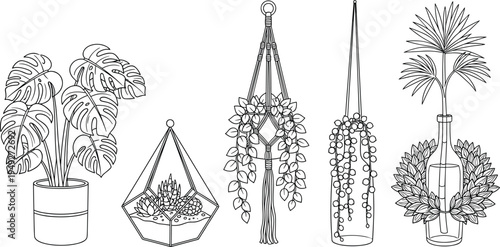 Modern indoor houseplant collection with monstera deliciosa terrarium hanging macrame plants string of pearls and palm leaves black line illustration,