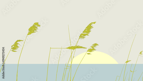 Reed foreground. Detailed editable silhouette of a reed-bed. Vector illystration.