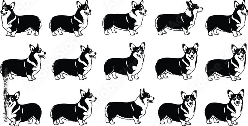 Welsh Corgi dog silhouettes collection, puppy standing poses, domestic pet animal figures, breed illustration set, vector isolated on white background.