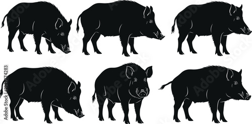 Wild boar silhouettes collection, forest animal figures, hog and pig standing poses, wildlife nature set, vector isolated on white background.