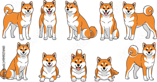 Cute shiba inu dog character set with different expressions and poses including sitting standing and lying down vector illustration.