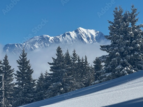snow covered mountains