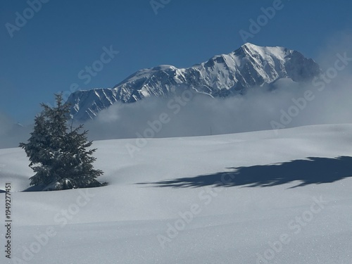 snow covered mountains