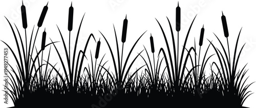 Cattail reeds and marsh grass silhouette border wetland aquatic plants nature vegetation isolated on white background botanical landscape vector illustration