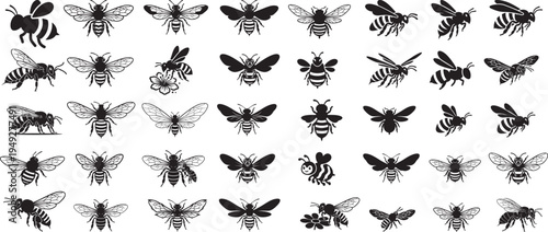 
Honey bee set. Set of  honey and bee labels for honey logo products. Honey bee silhouette collection vector illustration. Set of abstract modern graphic bees  on white background.
