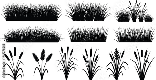  Grass border and cattail reed plant silhouette set with wild meadow vegetation elements isolated on white background for natural landscape design vector.eps