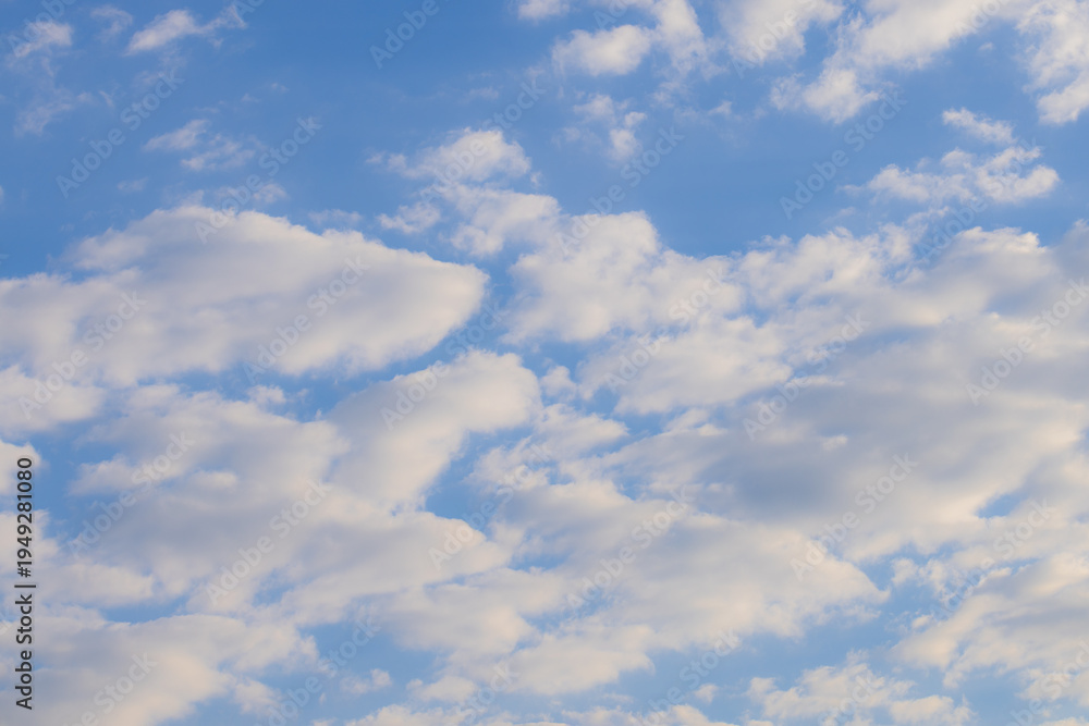 Fototapeta premium Beautiful Altocumulus Clouds on a Bright Blue Sky Background,A scenic view of soft, white altocumulus clouds scattered across a vibrant blue sky during the daytime. The rhythmic pattern of the clouds
