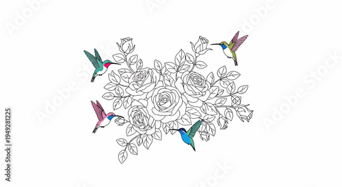 Colorful Hummingbirds Flying.