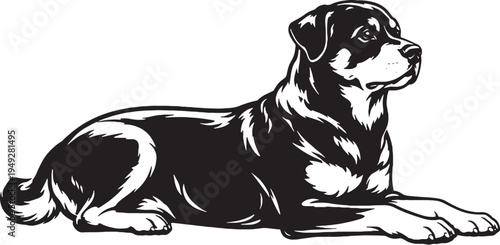 Rottweiler Lying Guard Rest Pose Black and White Line Art Illustration