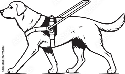 Labrador Retriever Guide Dog Leading Black and White Line Art Illustration