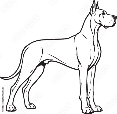 Great Dane Standing Tall Side Silhouette Black and White Line Art Illustration
