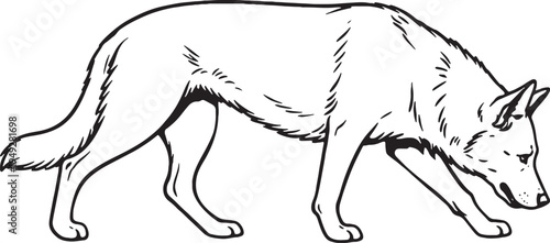 German Shepherd Tracking Nose Down Slow Walk Black And White Line Art Illustration