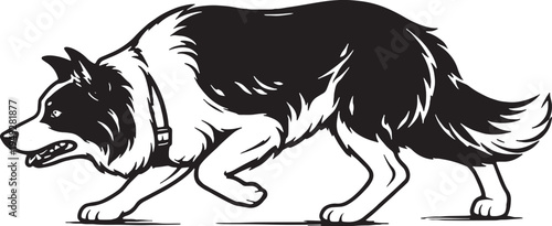 Border Collie Herding Movement Side Pose Black and White Line Art Illustration