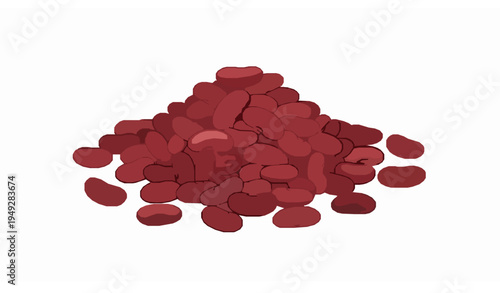 Pile of red kidney beans vector illustration isolated on white background healthy legume food ingredient