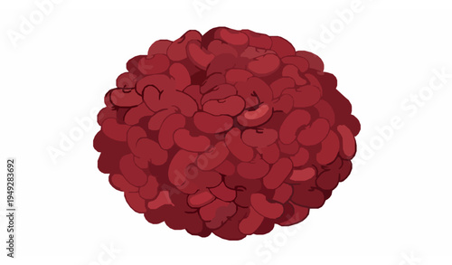 Top view heap of red kidney beans vector food ingredient illustration isolated on white background