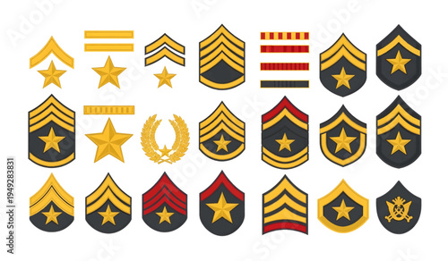 Collection of Military Rank Badges and Insignia.