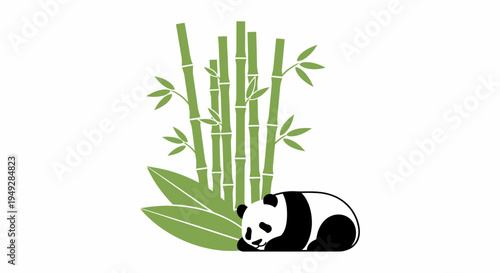 Panda Bear Eating Bamboo.