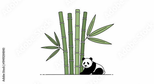 Panda beside bamboo plant.