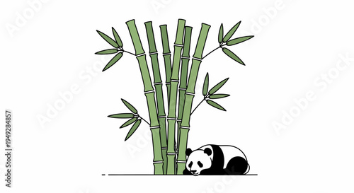 Panda Eating Bamboo Shoots.