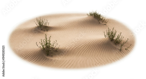 Serene desert landscape with sand dunes and sparse vegetation