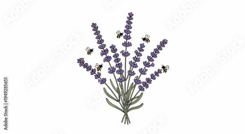 Purple Lavender Flower Bunch.