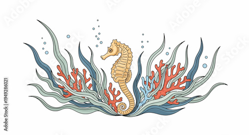 Seahorse in Coral Reef.