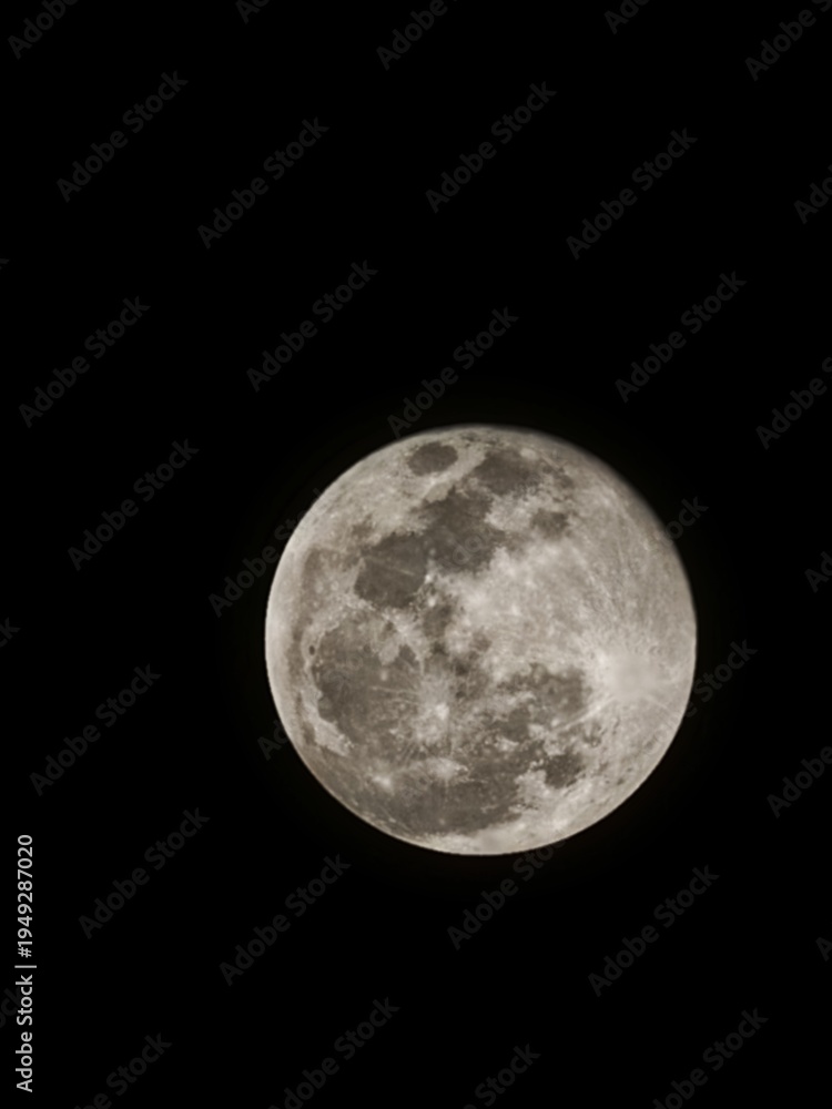 Fototapeta premium full moon in the night