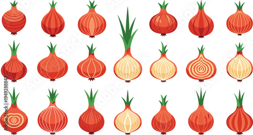 Red onion vector set, whole and sliced shallot icons, fresh vegetable illustrations for cooking menu design, healthy food graphics, isolated, organic.