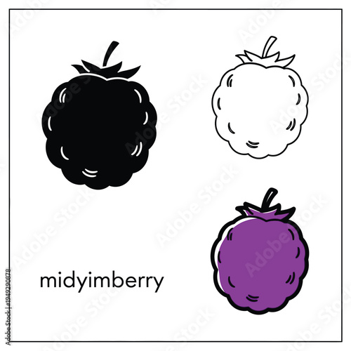Set of midyimberry vector illustration with black, outline, and colorful style