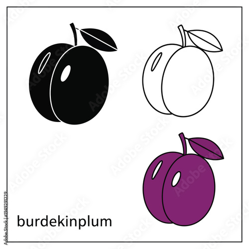 Three plums vector icon set on transparent background, burdekinplum, sloe, damsom, prunes