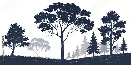 Silhouette of tall trees standing in a field with a distant mountain range