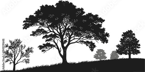 Silhouette of trees against a hillside landscape at sunset