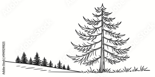 A majestic pine tree standing tall in a serene forest landscape