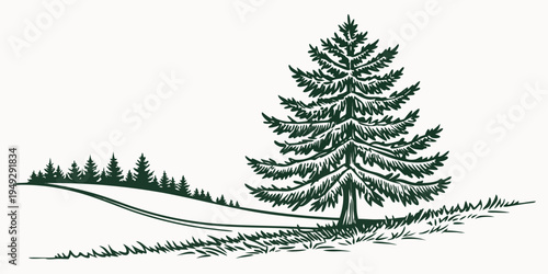 A majestic pine tree standing tall amidst a serene forested landscape