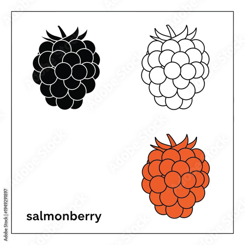Salmonberry with white highlights vector illustration in various styles, on transparent background