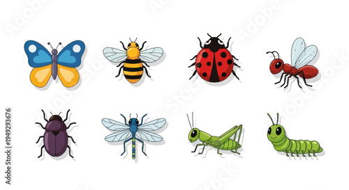 Cartoon insects collection illustration