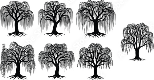 Weeping Willow Tree Silhouette Set with Hanging Branches and Roots for Nature Landscape Design Garden Environment and Outdoor Botanical Illustration