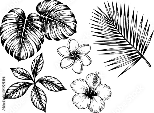 Black and white hand drawn tropical leaves and flowers including monstera palm frond hibiscus and plumeria