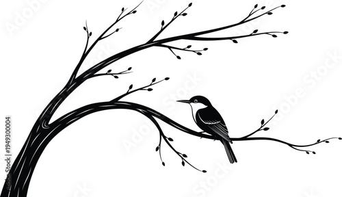 Bird perched on tree branch silhouette, nature vector illustration, wildlife artwork design, avian shadow graphics, botanical plant icons, forest bird decorative artwork