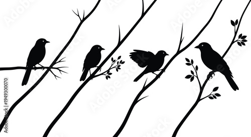 Bird silhouettes perched on tree branches, nature vector illustration, wildlife artwork design, avian shadow graphics, forest bird icons, decorative plant artwork