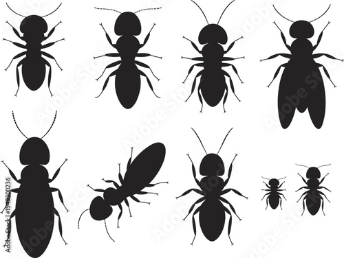 Black Vector Silhouettes of Ant and Termite Species Including Workers Soldiers and Winged Swarmers for Pest Control Identification Graphics and Natural History Education Projects
