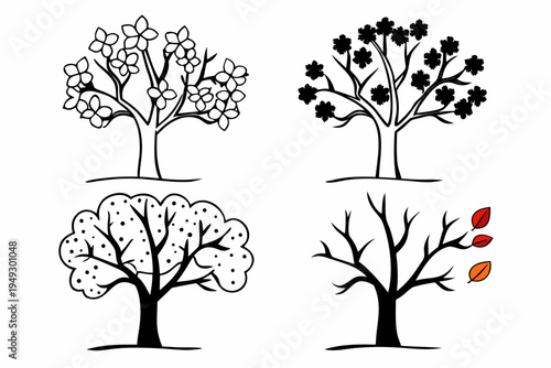 Vector illustration showing trees in four distinct seasonal stages, representing spring bloom, summer foliage, fruit-bearing, and autumn leaf fall.